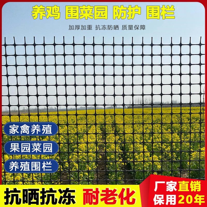 养鸡塑料网格围栏网养殖专用拦鸡网家用果园N菜园栅栏户外鱼塘防