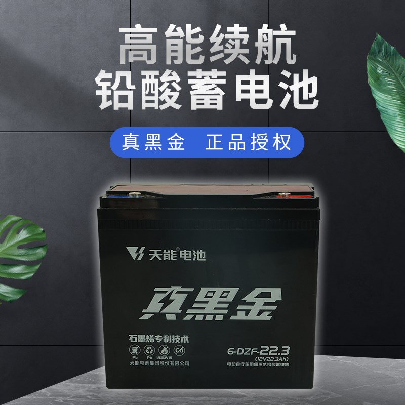 天能电池 真黑金石墨烯60V22Ah二轮车三轮车电动车电摩款铅酸电池