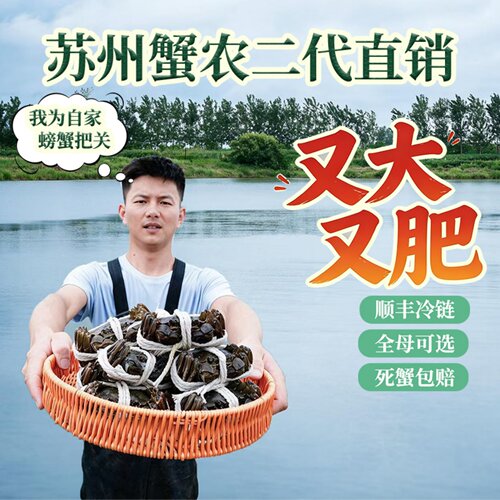 【活蟹】苏州阳澄蟹农直销大闸蟹