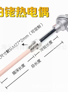 WRQ-421/WRS-123/WRS-122/WRS-121/R型WRP-142R型铂铑13-铂热电偶