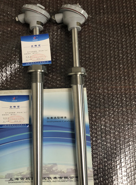 WZP2-132防喷铠装热电阻WZP-232/WZC-320热电阻感温元件