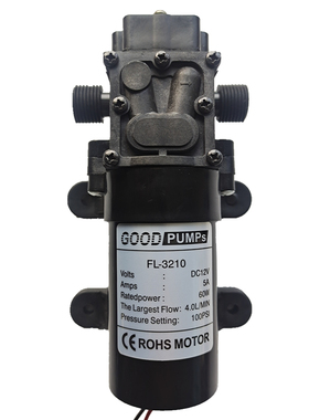 12V48V18Vi电动喷雾器泵24V60W4L回流隔膜泵4分泵1/2泵直流螺纹泵