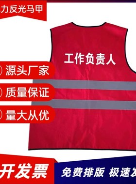 工作负责人红马甲国网p电力反光背心红色黄色蓝色安全员专责监护