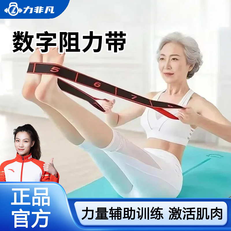 力非凡弹力带抗阻力中老年人臀大肌多功能训练器分段式数字阻力带