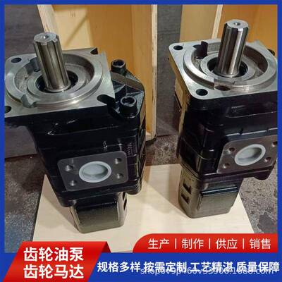 除雪车双联齿轮泵CBGJ2100/0020R液压齿轮泵生产厂家耐腐蚀