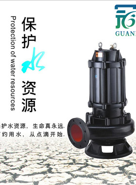 供应AS55-2CB型撕裂式潜水排污泵 冠丰牌 废水处理设备