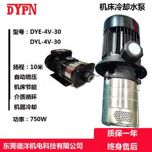 750W1寸设备水泵 DYE4V30 机床冷却水泵批发 自吸泵 东莞厂家卧式