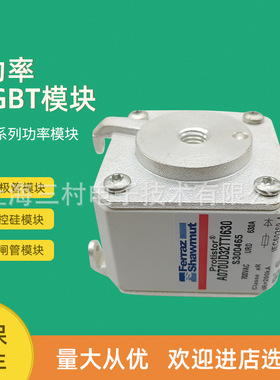 全新熔断器保险丝R085207/D120GC75V63EF Q085206/D120GC75V80EF