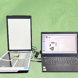 扫描式叶面积检 测仪/叶面积测定仪 型号:ZXYMJ-SM库号:M409334