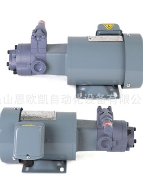 NOP泵组TOP-2MY400-210HBMGVB-3L TOP-2MY400-208HWMVB-3L