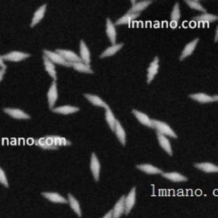 700 785 815 850nm 各种规格 金纳米双锥