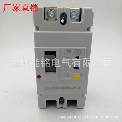 上海人民2P220V250A漏电断路器RCM1L-250/2300  250A 200A 160A