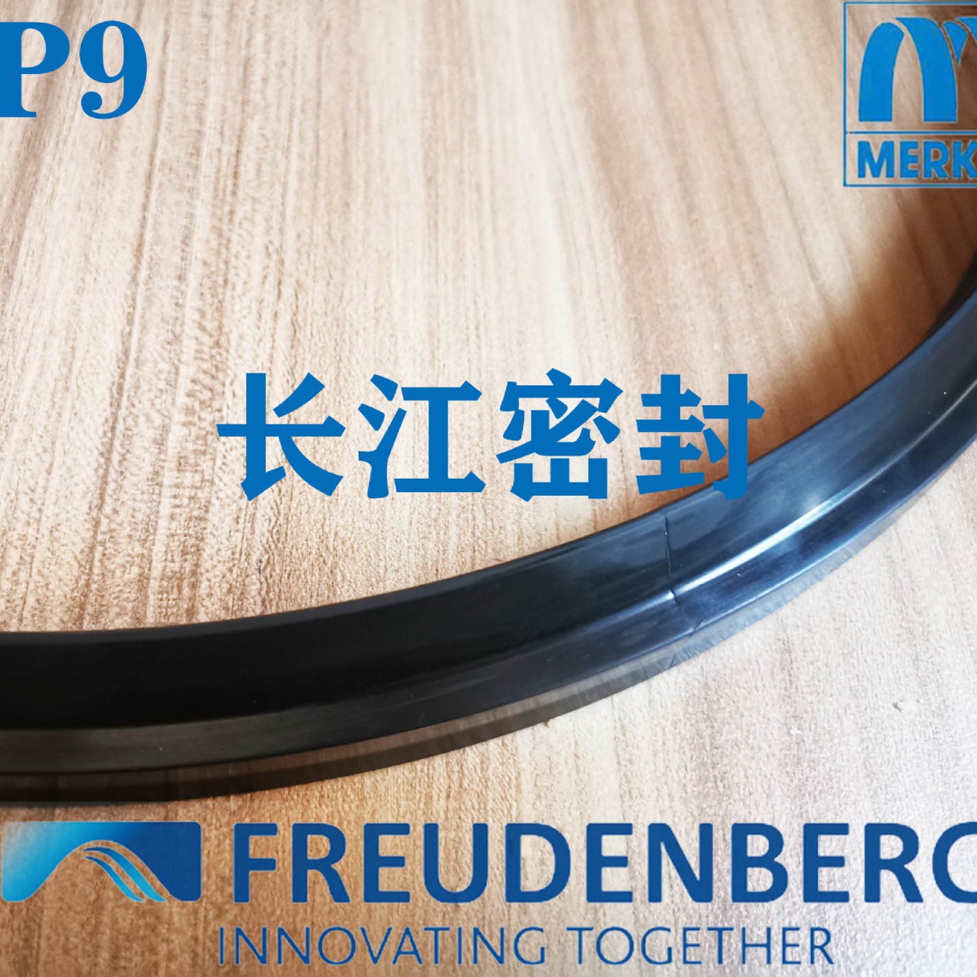 德国MERKEL进口防尘圈P9系列