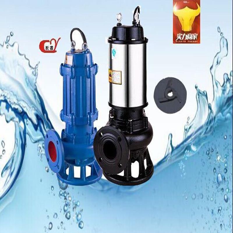 小型水泵220v污水泵单相无堵塞小型污水泵750W1100W1500W