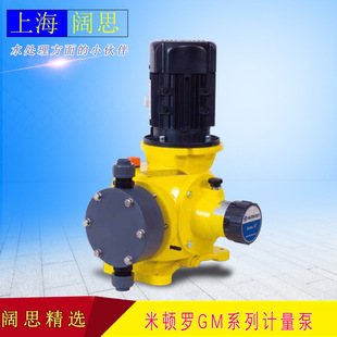 米顿罗LMI机械计量泵GM0005 双隔膜排污泵 塑料往复泵