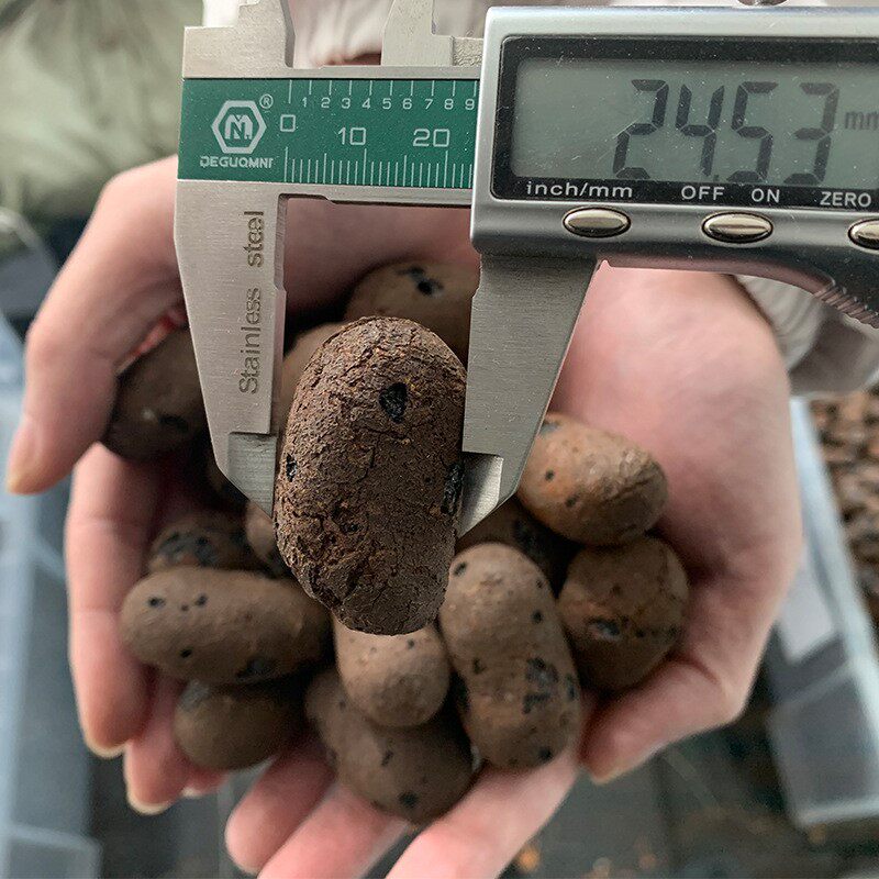 畅九衢零售批发 建筑陶粒10-30mm 轻质高强黏土页岩陶粒量大价优