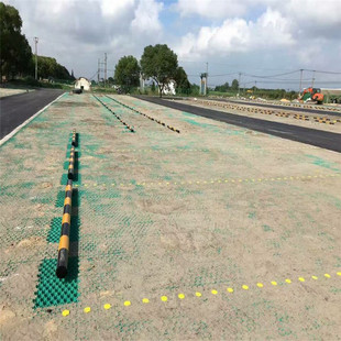 植草格塑料植草格房屋绿化停车场建筑工程植草板耐磨绿色植草格