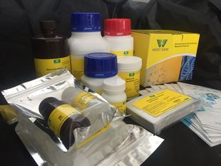 一步法植物基因组 DNA 提取试 剂盒(多糖多酚)