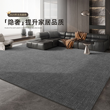 地毯客厅2025新款免洗可擦轻奢高级感防水耐脏家用办公室地垫灰色