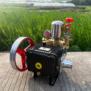 三缸柱塞泵自吸高压水 机动喷雾器打药机泵头F总成 60型担架式