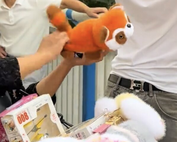 毛绒玩具女孩可爱玩偶娃娃女生礼物公仔小浣熊翻转变身大熊猫玩偶