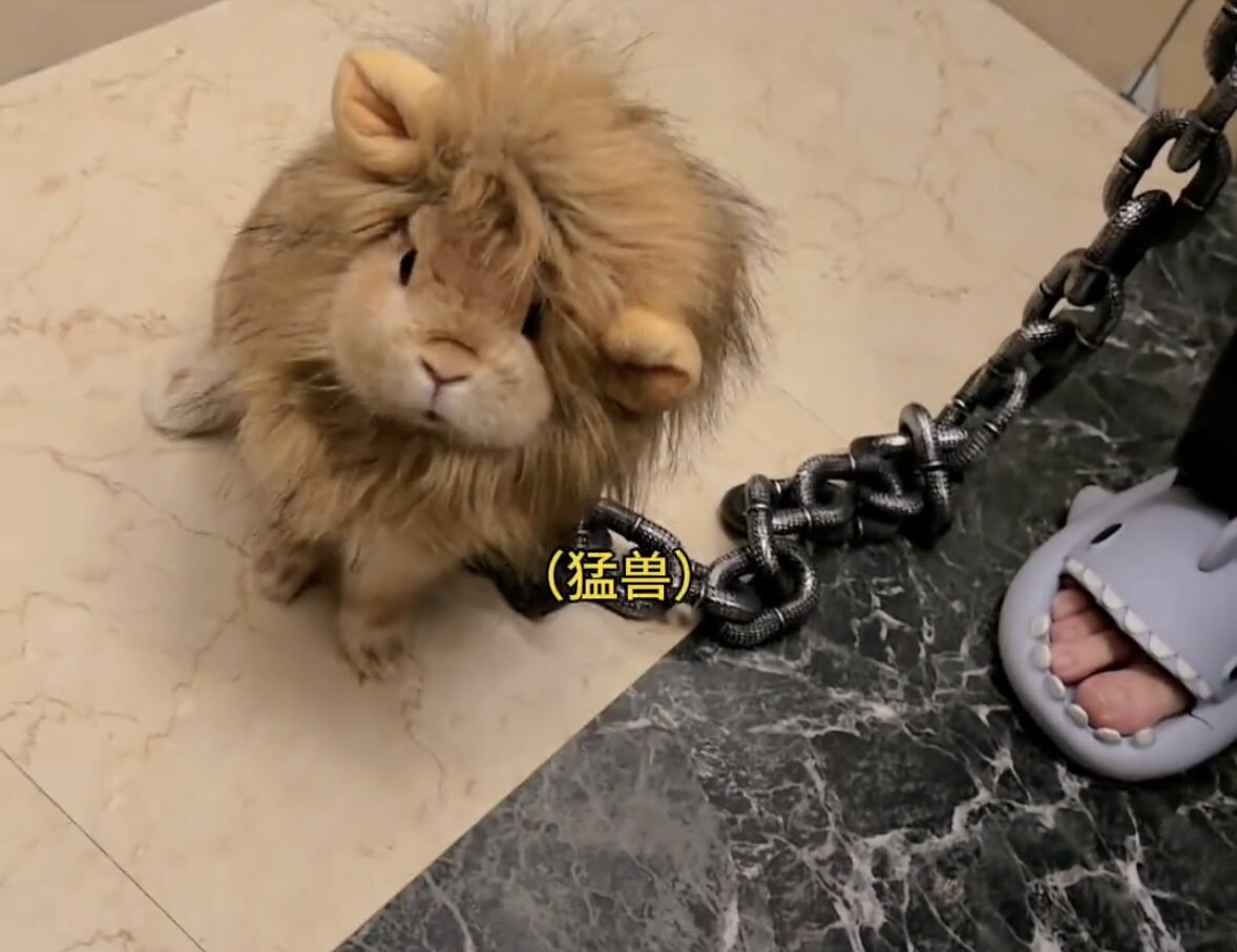 兔子头套小狮子宠物帽子小兔子头饰兔兔专用狮子帽子搞怪变装服饰