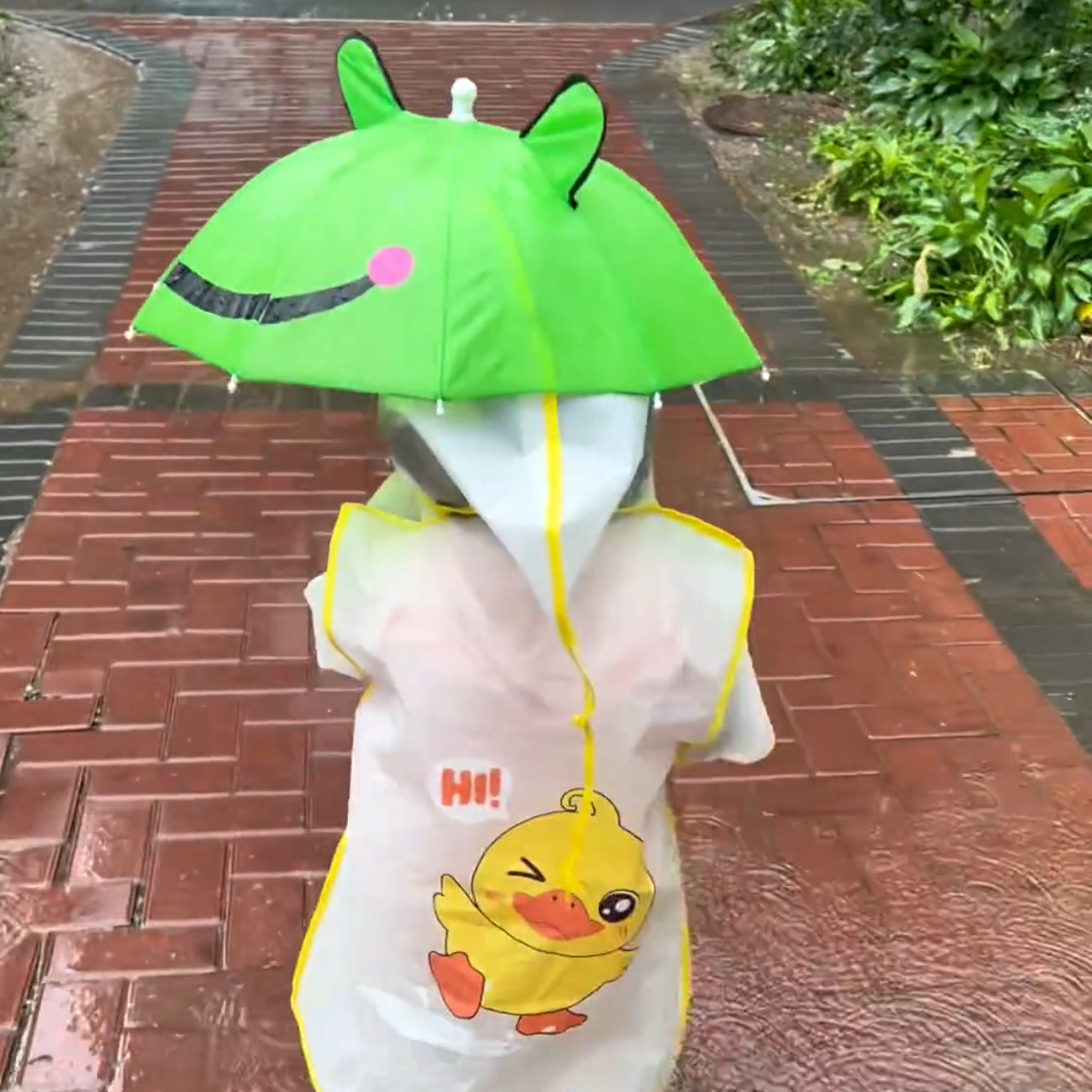 防水可爱青蛙造型2026卡通可爱雨伞遮阳防晒儿童雨伞小孩学生宝宝
