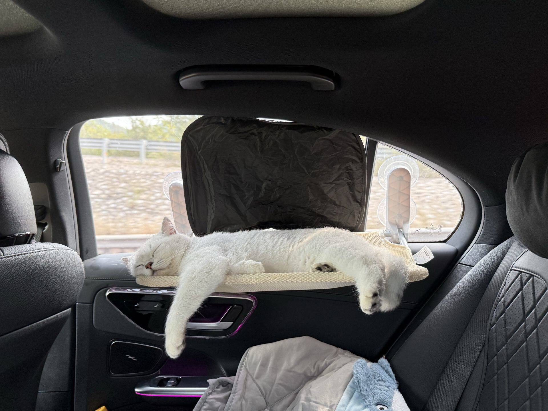 车载猫吊床猫咪猫窝吸盘车窗玻璃悬挂式汽车窗户宠物晒太阳猫吊篮