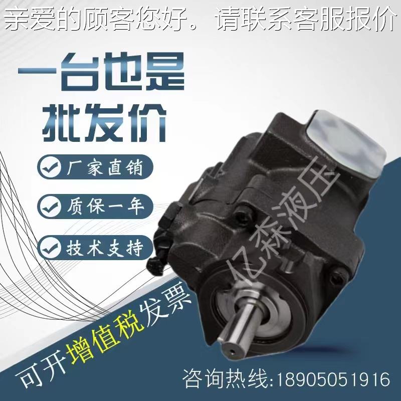 高压柱塞器泵压 P22-A1-F-家R-01液泵 GIP机设备用泵 厂直发液压