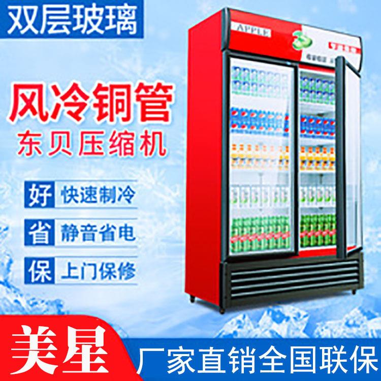 冷藏柜保鲜柜展示柜立式饮料柜商用单门家用冰柜商用冷柜水柜