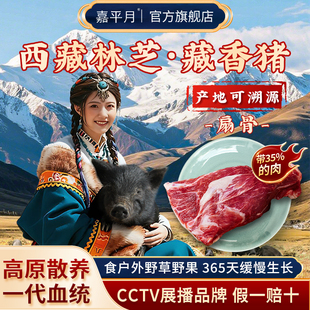 藏香猪扇子骨新鲜黑猪肉土猪带肉扇骨正宗西藏林芝农家散养跑山猪