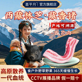 藏香猪肉新鲜五花肉片正宗黑土猪排骨梅花西藏林芝海拔3200米散养