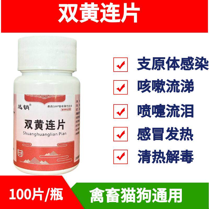 迅销双黄连片兽用犬兔鸡鸭鹅猪感冒发热清热去火咳嗽流鼻涕抗病毒