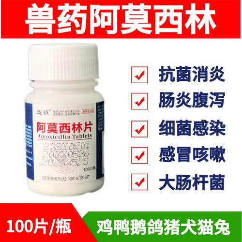 阿莫西林兽用狗狗猫咪感冒药伤口感染消炎肺口炎速愈合诺片