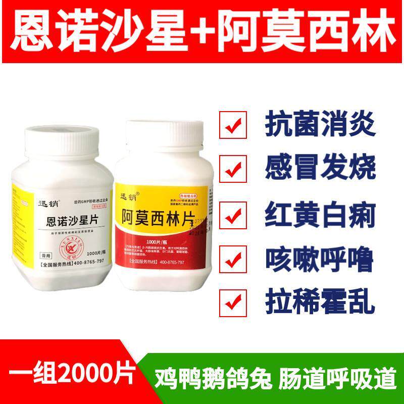 恩诺沙星鸡药大流感抗菌消炎拉稀腹泻白痢咳嗽气喘呼噜缩头垂翅