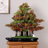 创意仿真迎客松盆景中式 饰摆 客厅盆栽大型绿I植室内电视柜景观装