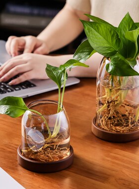 复古玻璃小花瓶家用客厅电视柜水培器皿摆件办公室X桌面绿萝花盆