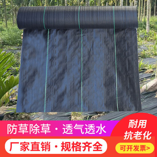 防草布除草布农用果园果树新型生态保湿透L水地膜地钉地布厂家直