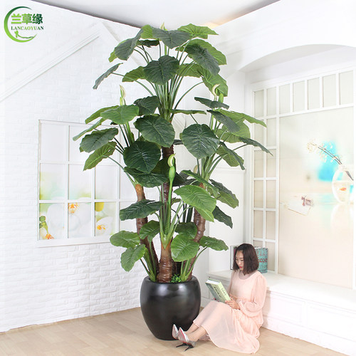 假树仿真树室内装k饰滴水观音大型植物盆景客厅摆件假绿植落地盆