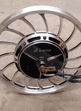 36V20寸500w电动车改装电机 48V60V1J000W 大功率观光车涨刹电机