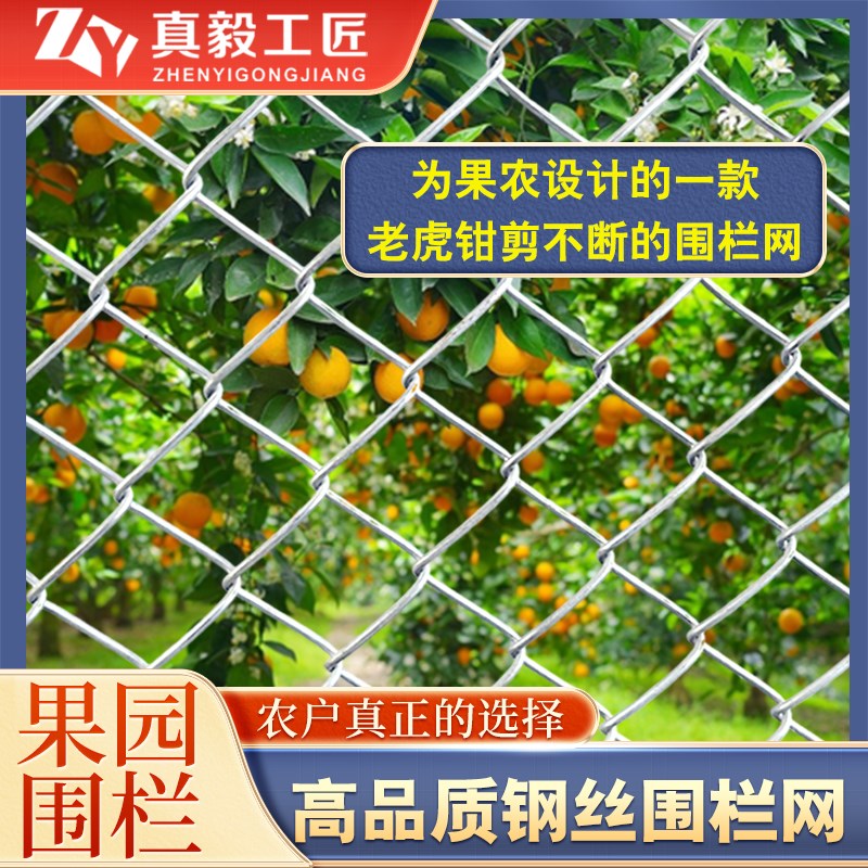 热镀锌铁丝网g围栏栅栏户外养殖鸡鸭鹅围菜园果园防护钢丝网勾花