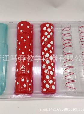 33003 导管、筛管结构模型 生物实验器材 生物教学模型 教学仪器