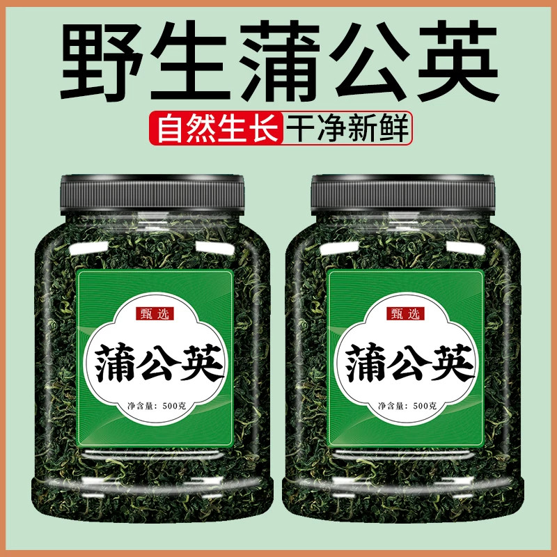 蒲公英茶新货正品新鲜野生东北婆婆丁中药材泡水喝养肝护肝茶