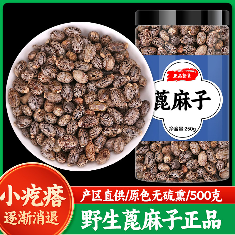 蓖麻子中药材500克新货非野生蓖麻籽红蓖麻籽仁熟蓖麻子大麻子
