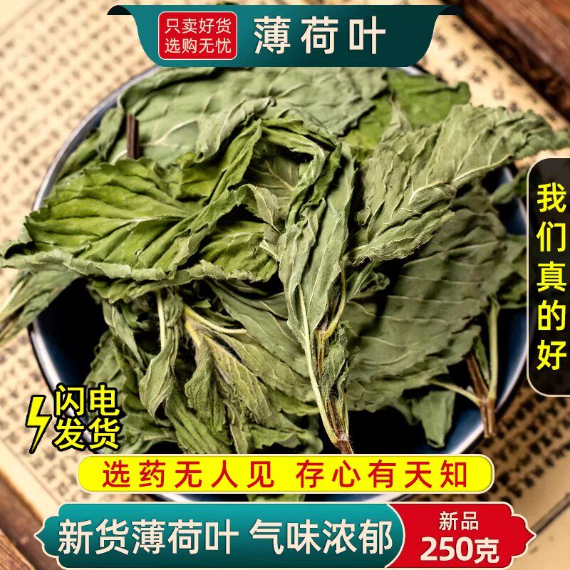 薄荷叶中药材500/250g/100克薄荷叶干货泡茶水新货纯叶味浓薄荷叶