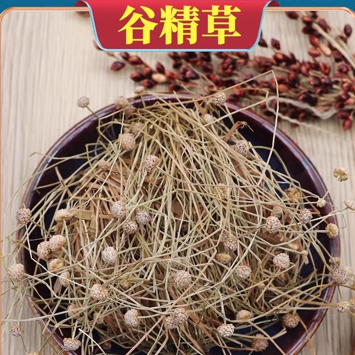 谷精草500克中药材珍珠草谷精珠挖耳朵草鼓槌草连萼谷精草天星草