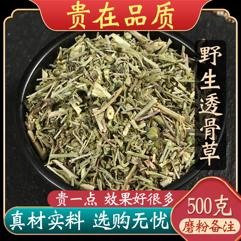 透骨草中药材正品官方旗舰店中草药珍珠透骨草非野生新货泡脚外洗