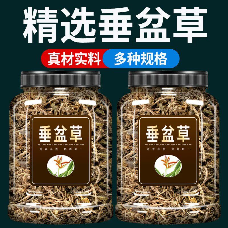 垂盆草中药材500g克官方旗舰店正品野生垂盆草干垂盆草锤盆草泡水