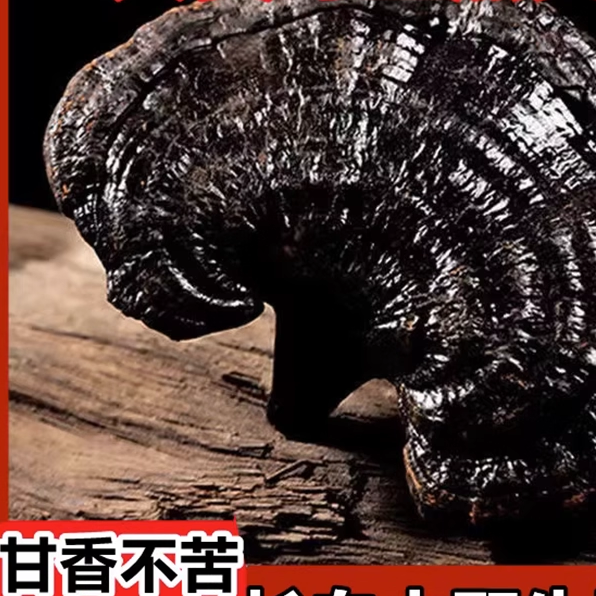 黑灵芝仿野生长白山500克灵芝切片林芝干货整朵正品泡酒灵芝养生