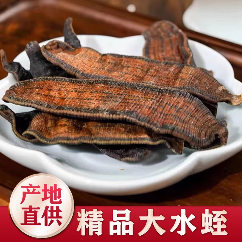 水蛭中药材大水蛭干中药饮蚂蟥干宽体金线蛭片非野生水蛭粉